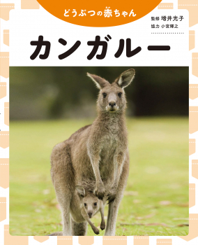 カンガルー (どうぶつの赤ちゃん) ：増井光子／小宮輝之 - 金の星社