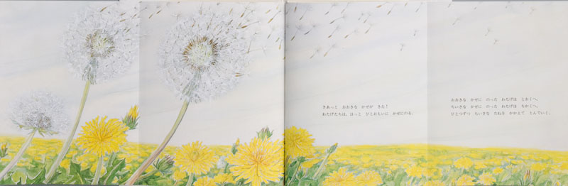 たんぽぽ ：甲斐信枝 - 金の星社