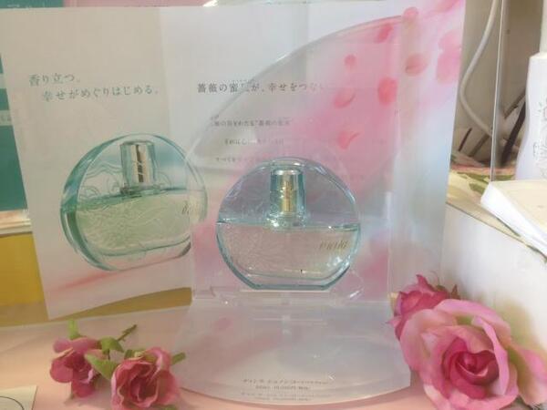 ディシラ シェノン｜紹介記事｜キレイエ