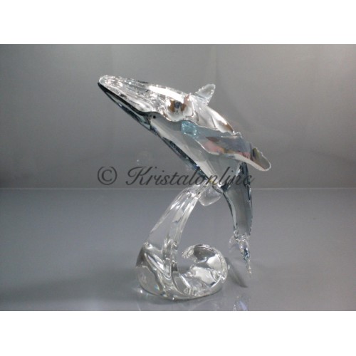 SCS - Annual Edition 2012 - Paikea Whale