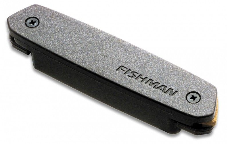 FISHMAN ＆ L.R.Baggs アコースティックギターのエレアコ化