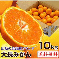 こだわり大長みかん（秀品）」贈答に大変好評です！広島県ミカンの最