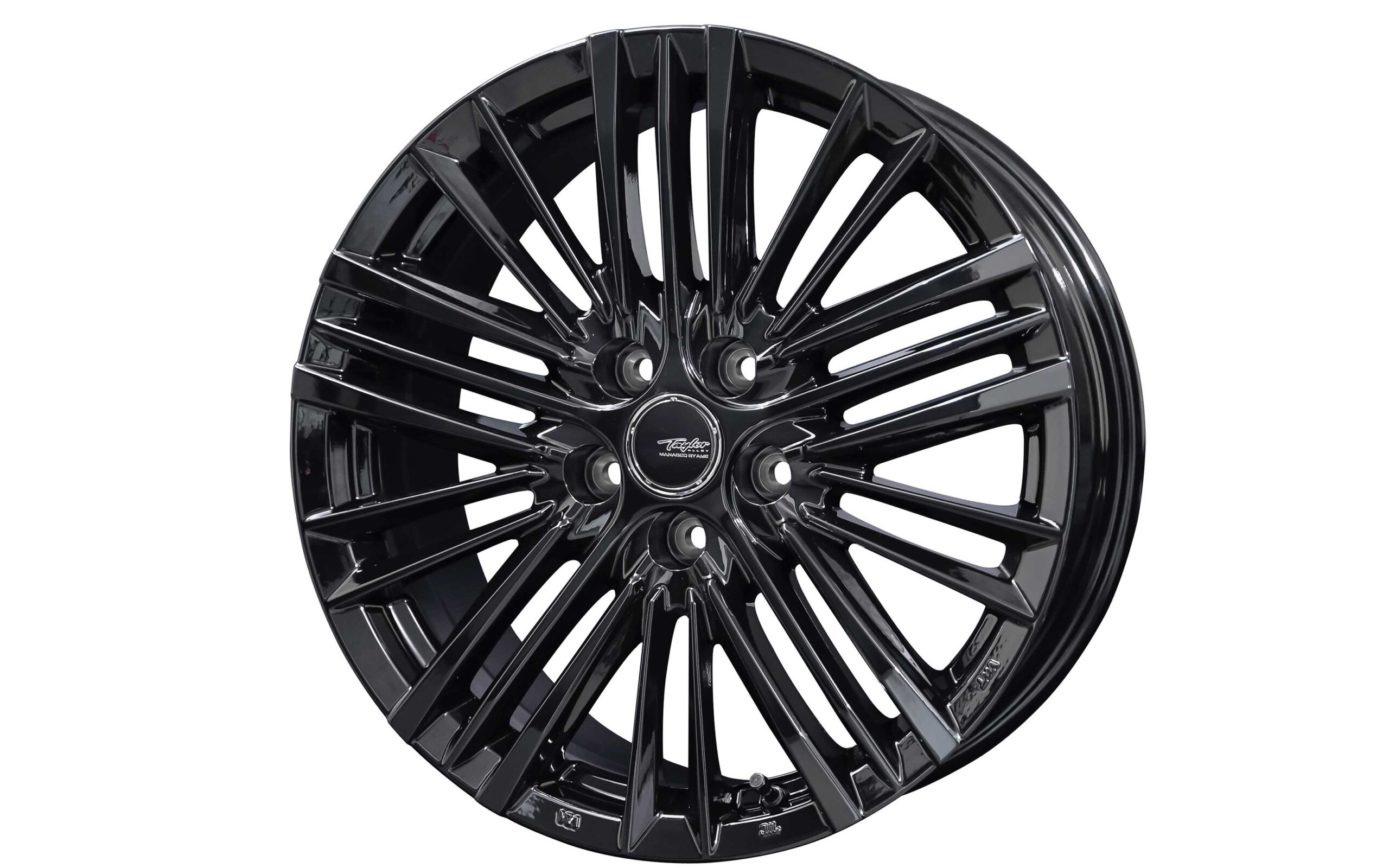 TAYLOR TL1｜製品・ブランド一覧｜共豊コーポレーション公式サイト