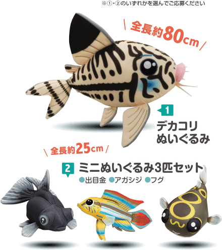 トピックス：新世代フレークキャンペーン2022 レシートで「熱帯魚