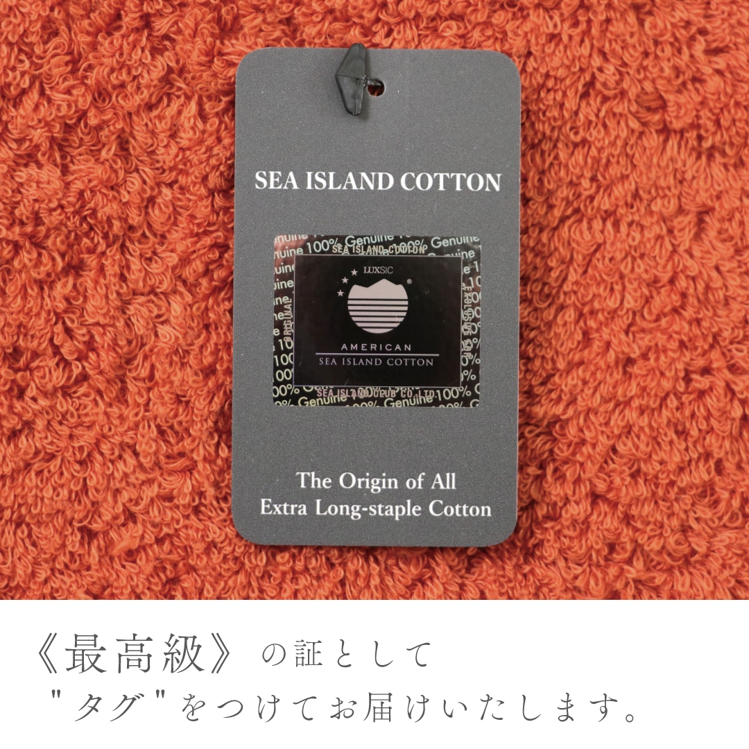 ラディアン フェイスタオル