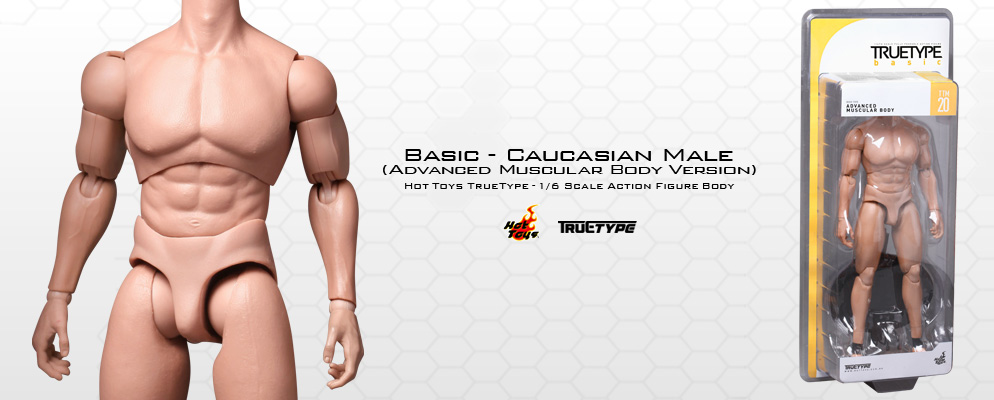 ホットトイズ・トゥルータイプ】1／6スケールフィギュア素体
