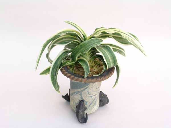 鳳 (おおとり) Ootori – おもとの豊明園（ほうめいえん）