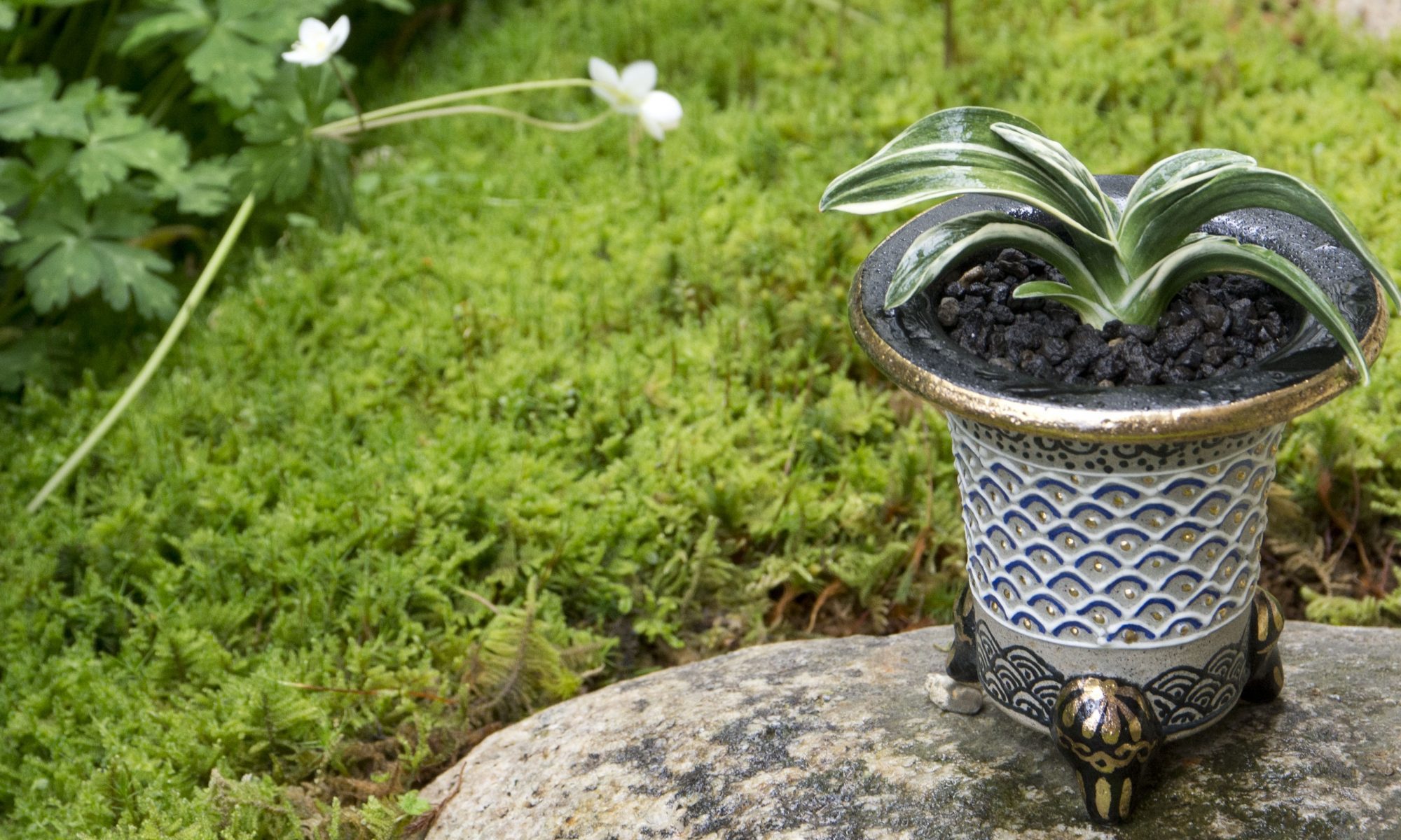 2019年2月 – おもとの豊明園（ほうめいえん）