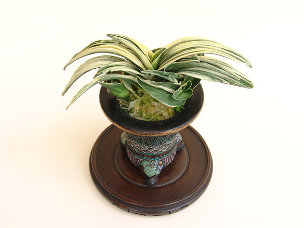 ブログ – ページ 22 – おもとの豊明園（ほうめいえん）