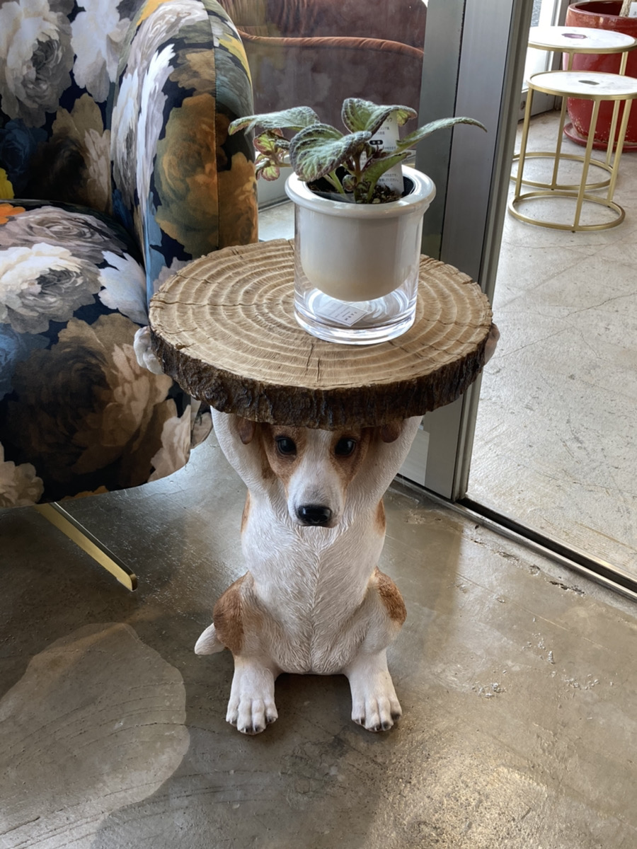 KARE』のご紹介です！ – HOME SIC