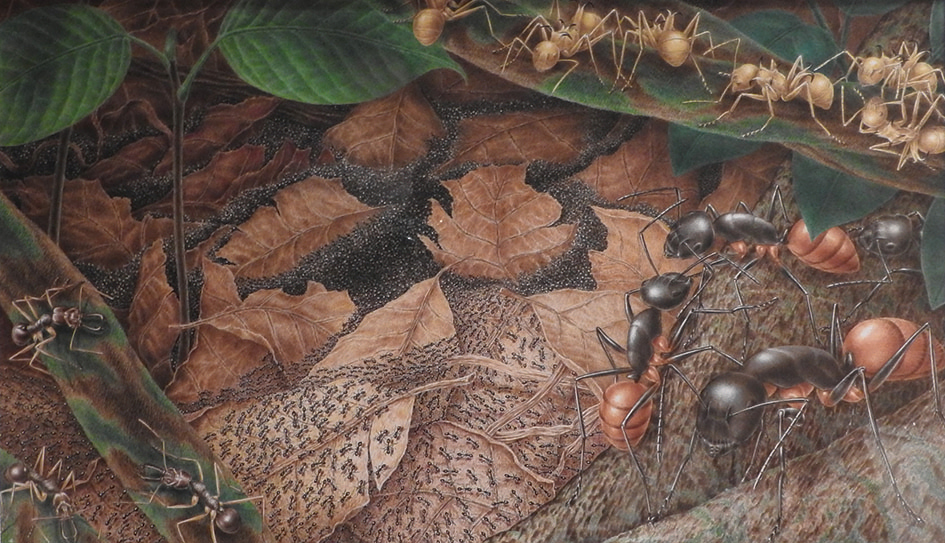 展示スケジュール2024 - 公益財団法人 本間美術館 [山形県 酒田市]