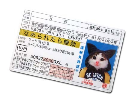 カード 【30円×20付】なめんなよ カードコレクション2|【堀商店】景品