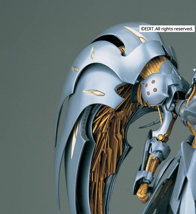 製品情報 限定商品/AUGE