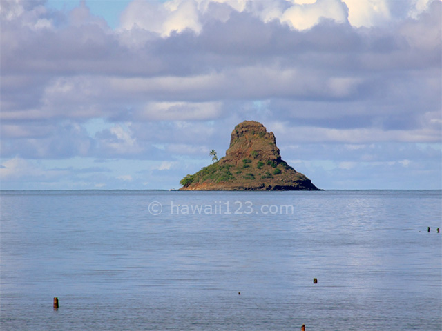 チャイナマンズハット | ハワイ123ドットコム