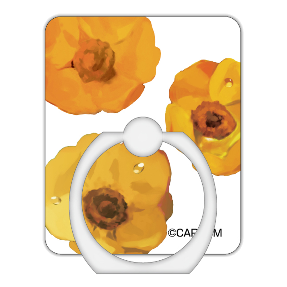 囚われのパルマ_スマホリング - 株式会社ハゴロモ