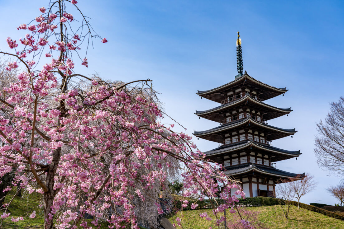大山忠作とは？作風・評価と代表的な作品をご紹介 | 古美術八光堂の