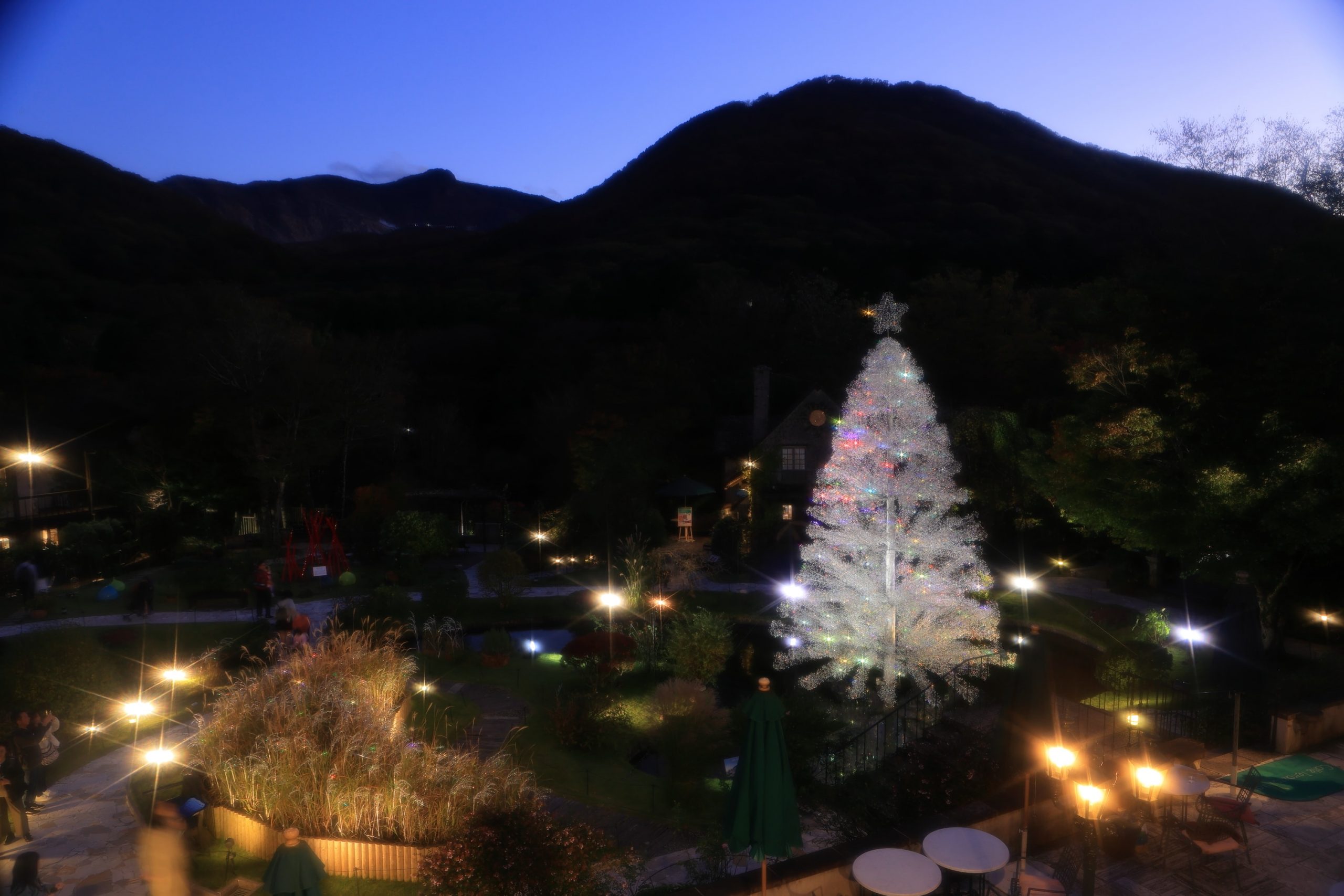 クリスマス特集-2025 | 箱根ガラスの森美術館 | ヴェネチアン・グラス