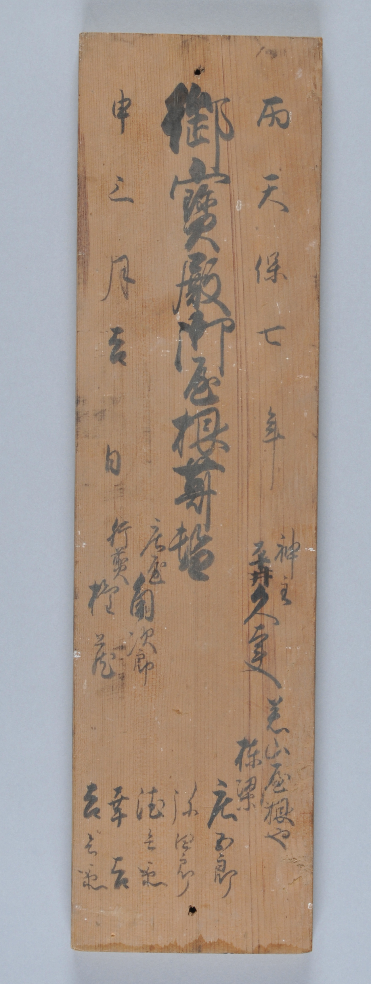 展示のみどころ