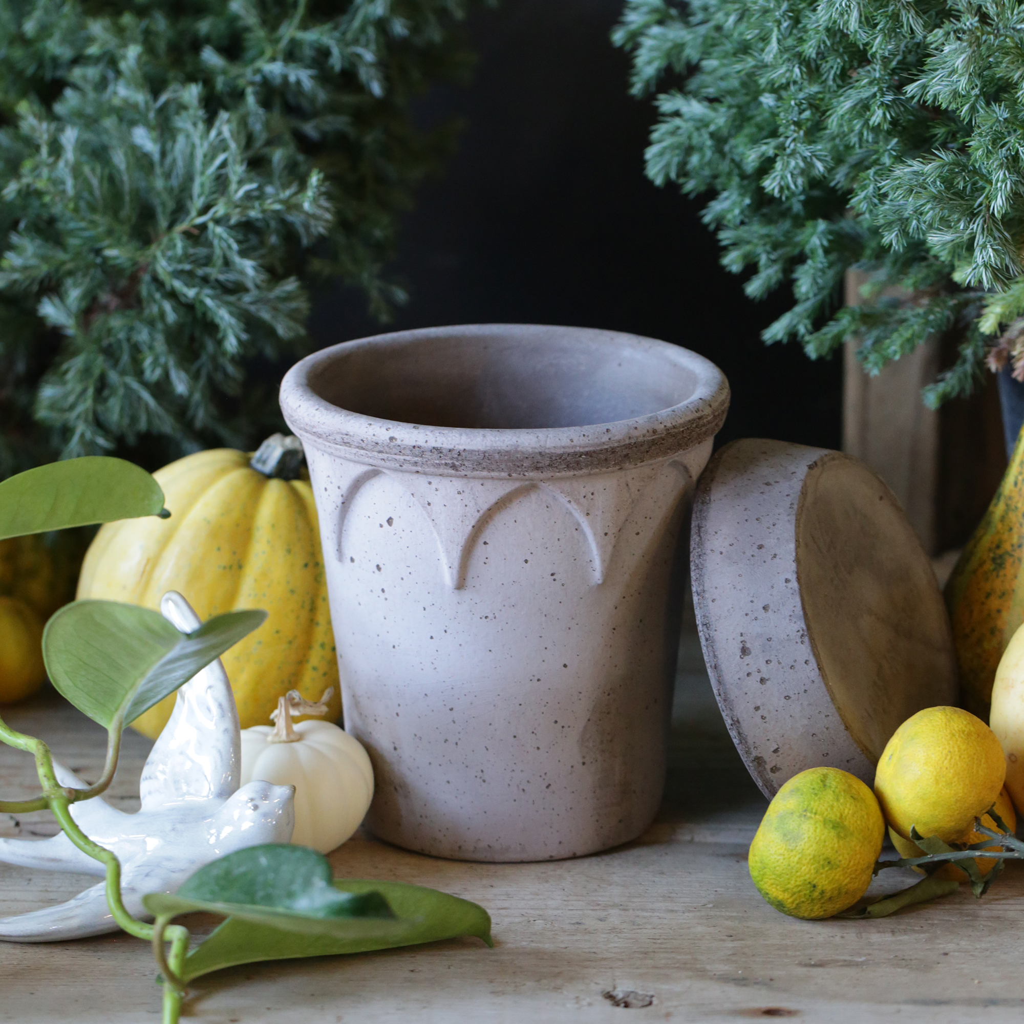 ELIZABETH GREY［Φ14cm］ | アトリエ華もみじ