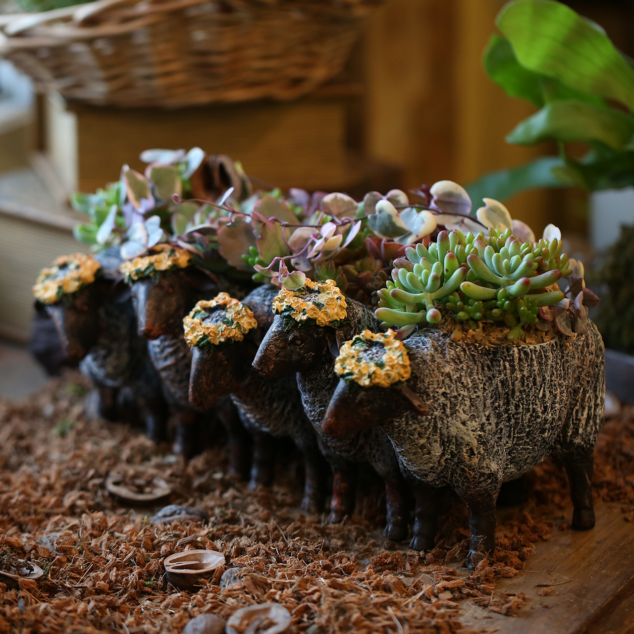 多肉植物箱庭寄せ植えsmall | アトリエ華もみじ