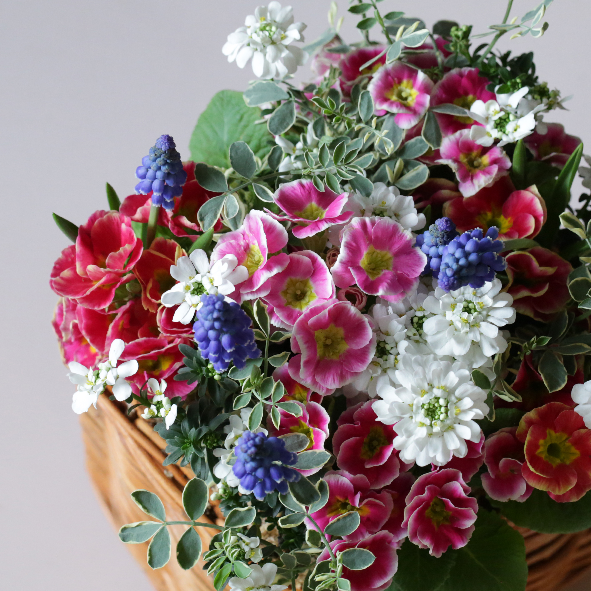 1点もの】ふくりんりんのカラフルフラワーBOX | アトリエ華もみじ