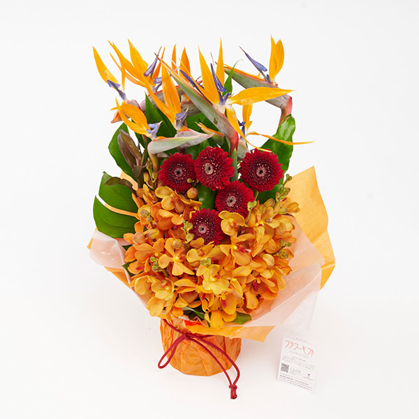 極楽鳥花（ストレリチア）を使用したアレンジメントフラワー Lサイズ