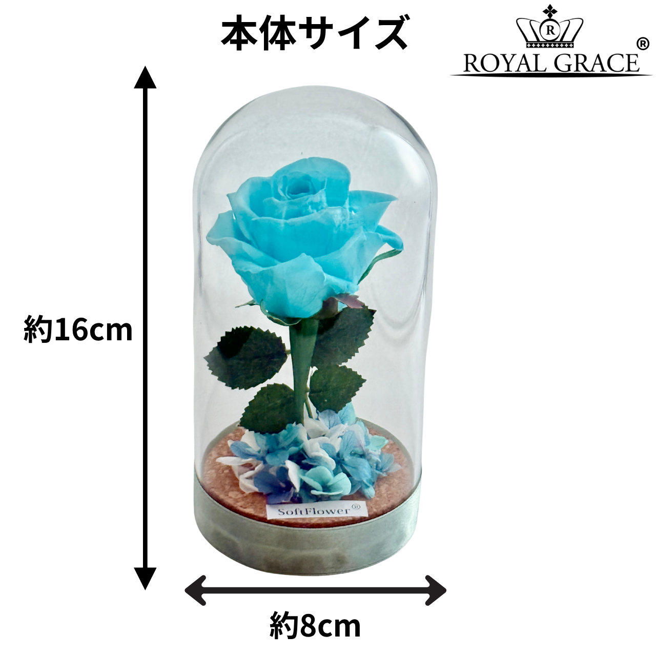 新作 プリザーブドフラワーローズ フラワードーム セレクション | ハナビオ