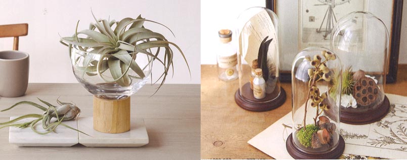 クレイ2018-2019WINTER&SPRING 新商品ご紹介 - はなどんやマガジン