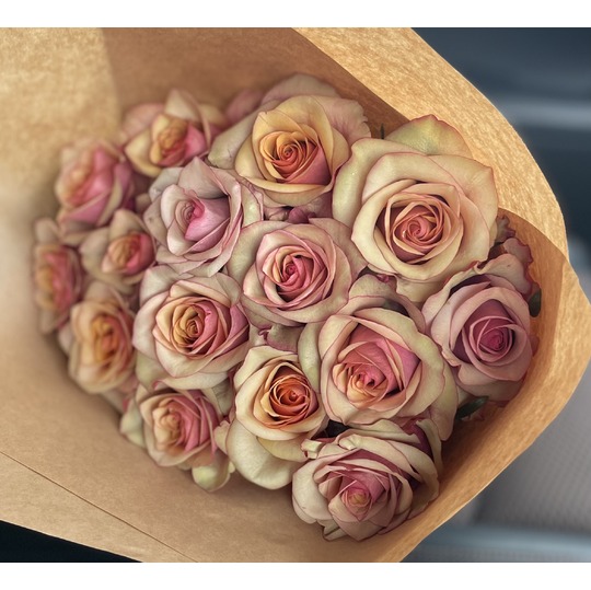 シックな大人のバラ「ヴィンテージ」 商品詳細｜花プラン｜新潟県