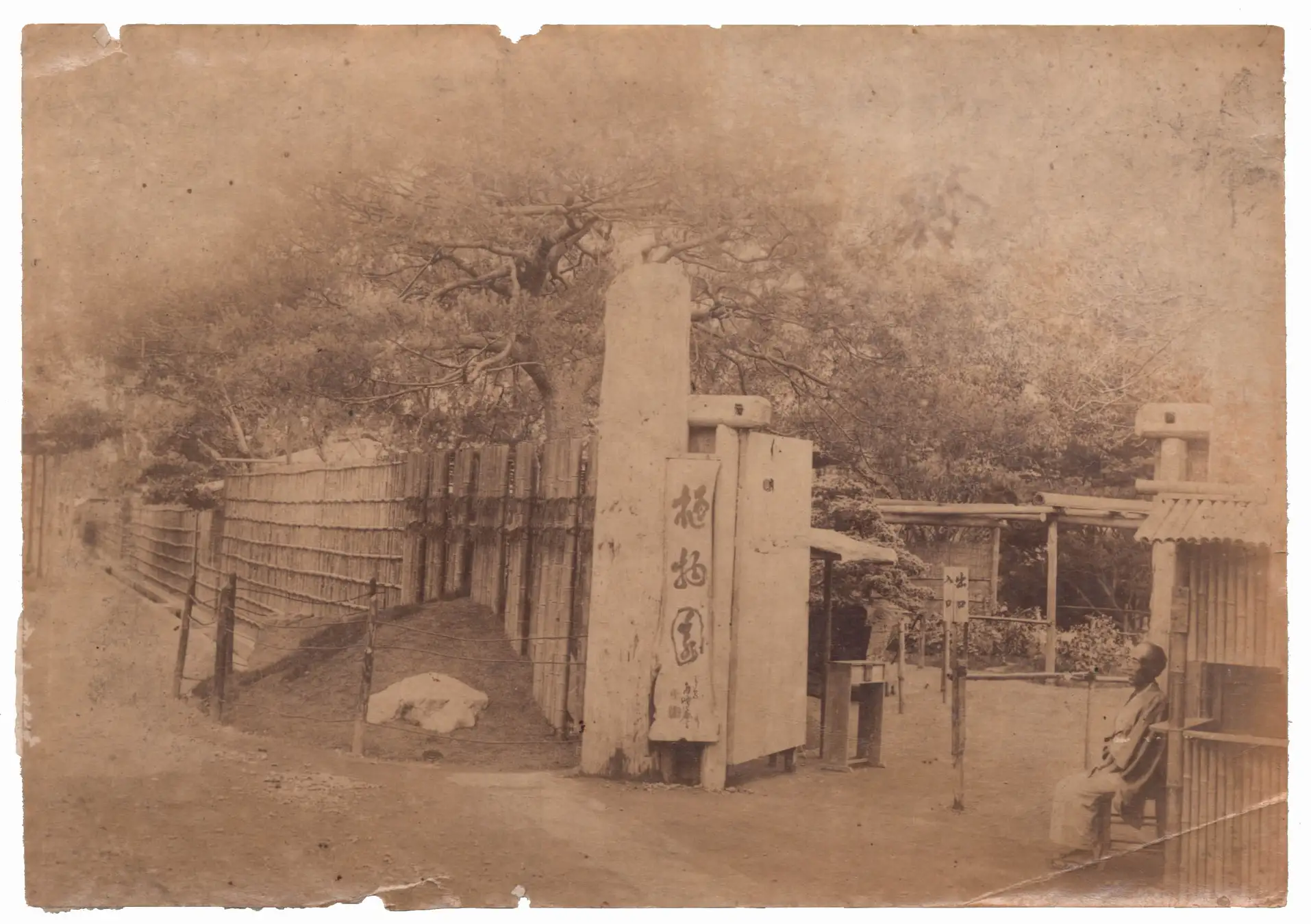 花やしきの歴史が美術史に刻まれる！現代美術家・横尾忠則氏による