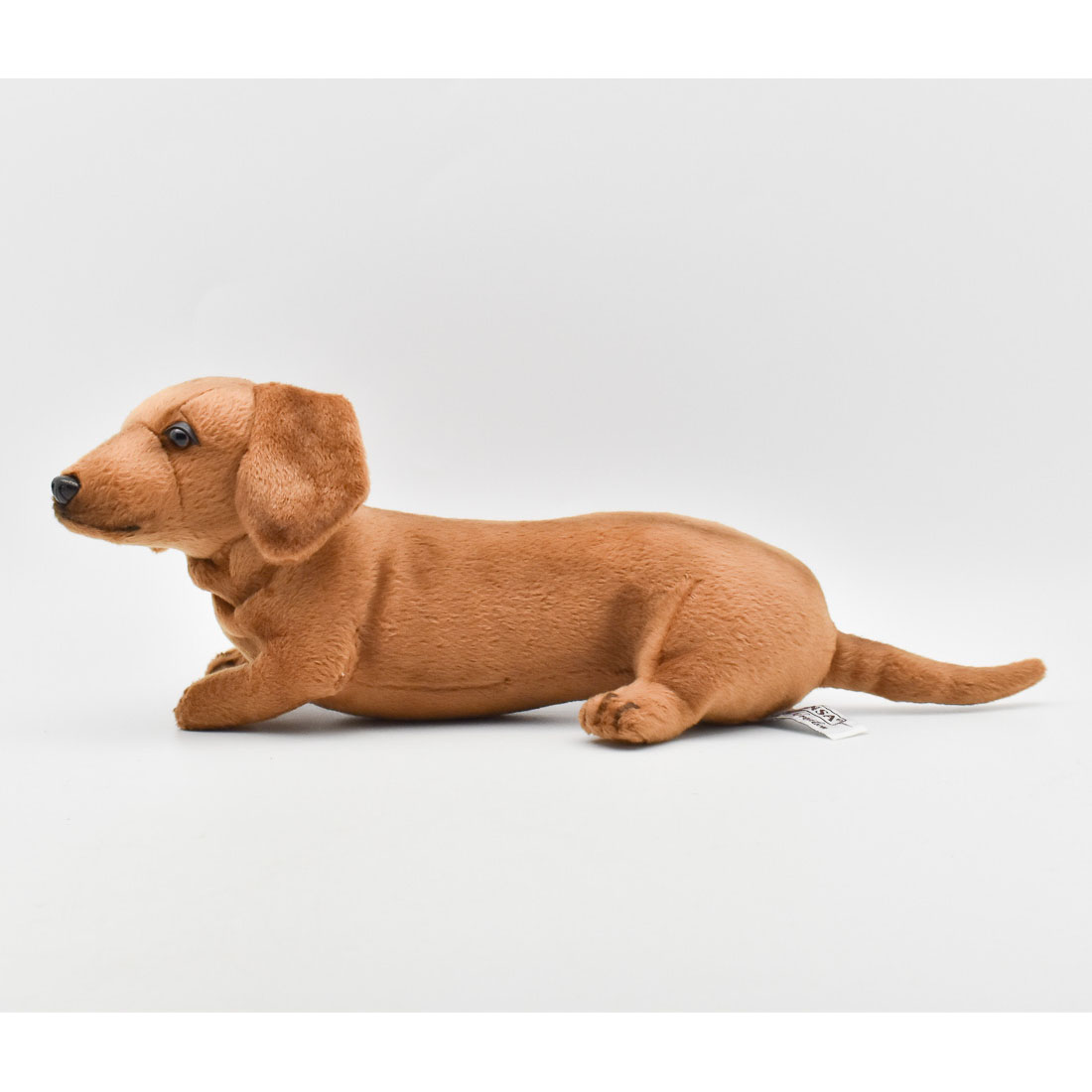 ミニチュアダックスフンド(仔) 39 | HANSA