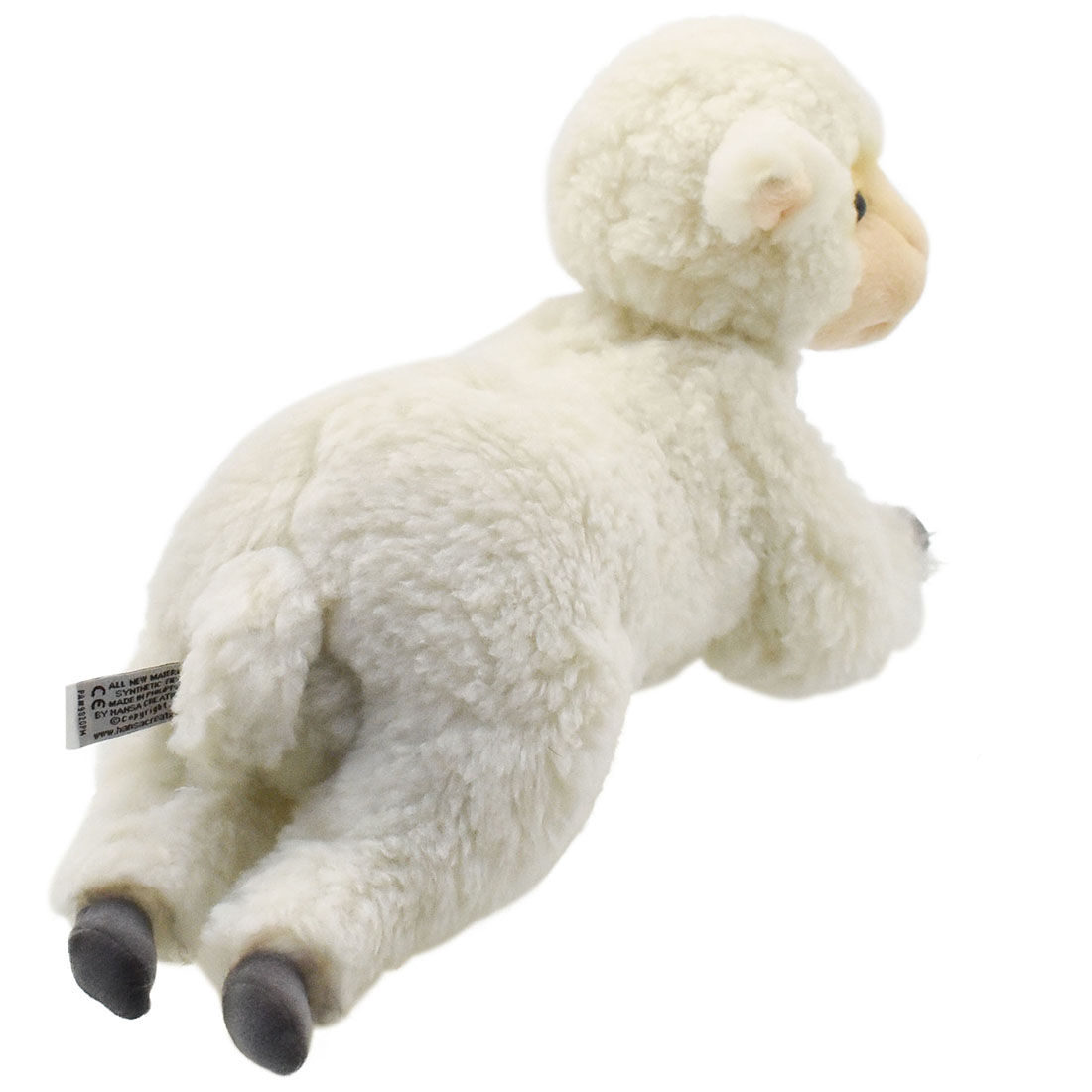 ヒツジ(仔) 43 | HANSA