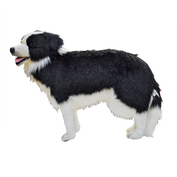 ボーダーコリー 80 | HANSA