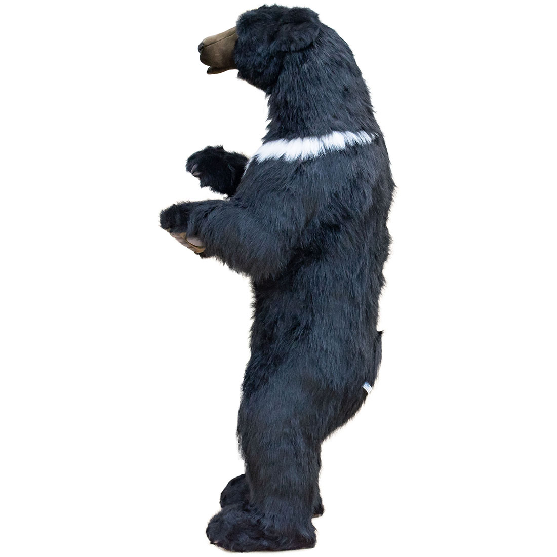 ツキノワグマ 158 | HANSA