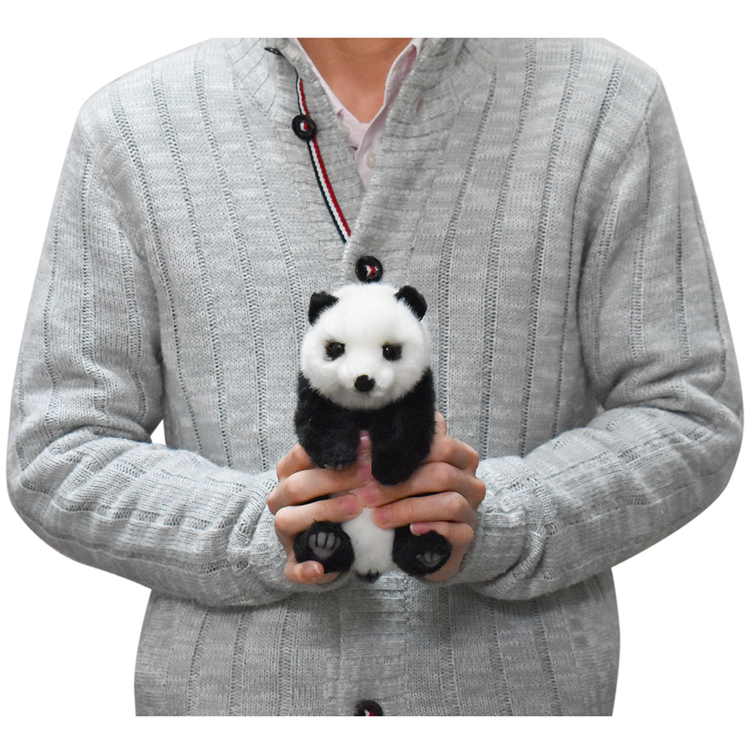 ジャイアントパンダ 16 | HANSA