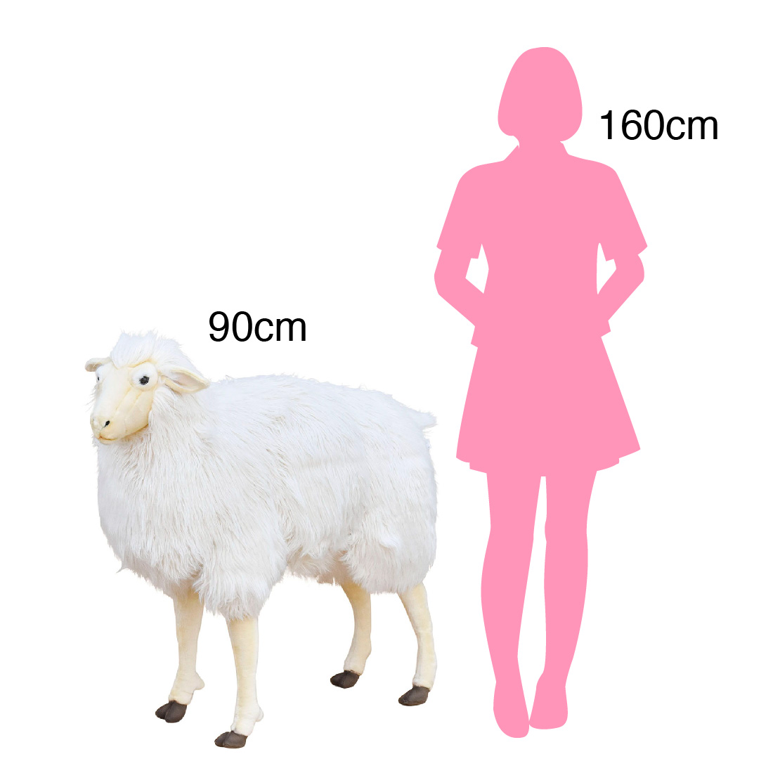 ヒツジ 90 | HANSA