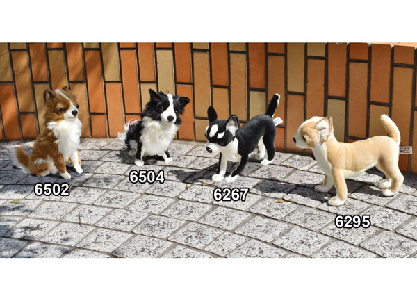 チワワ 31 | HANSA