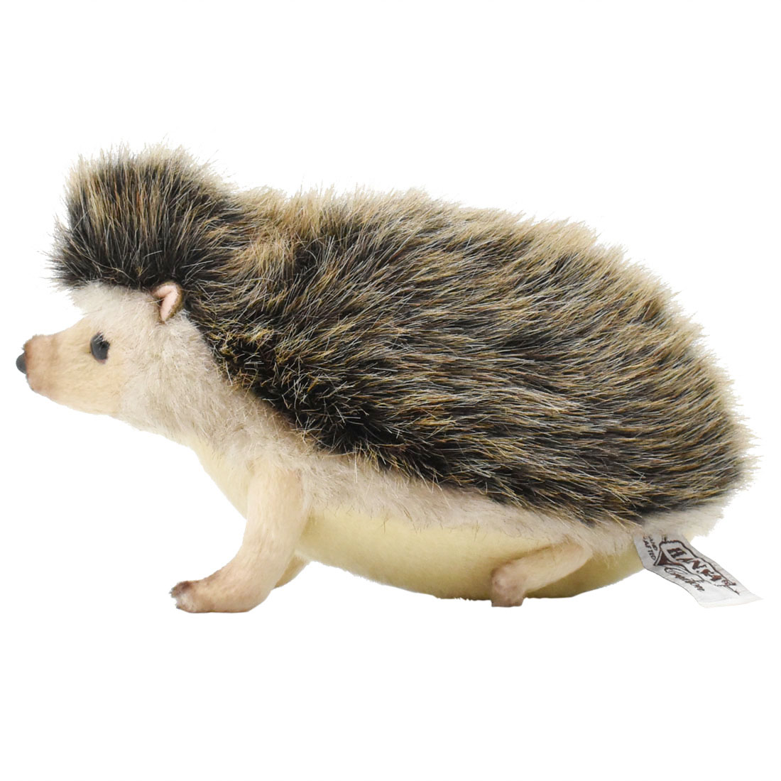 ピグミーヘッジホッグ 23 | HANSA