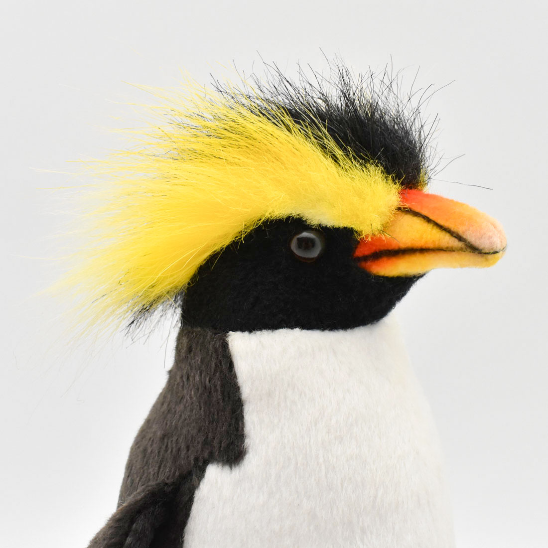 イワトビペンギン 25 | HANSA