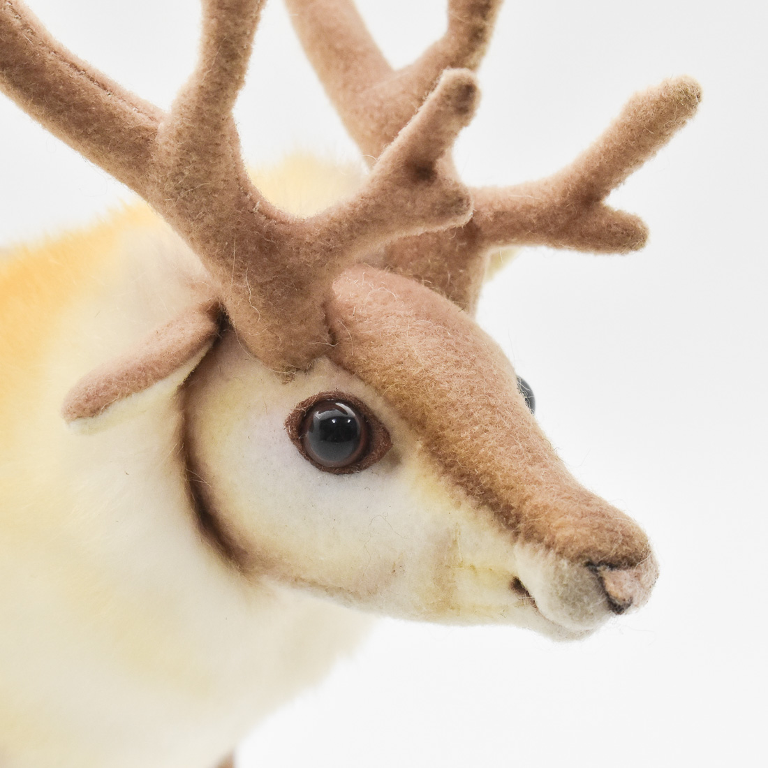 トナカイ 23 | HANSA