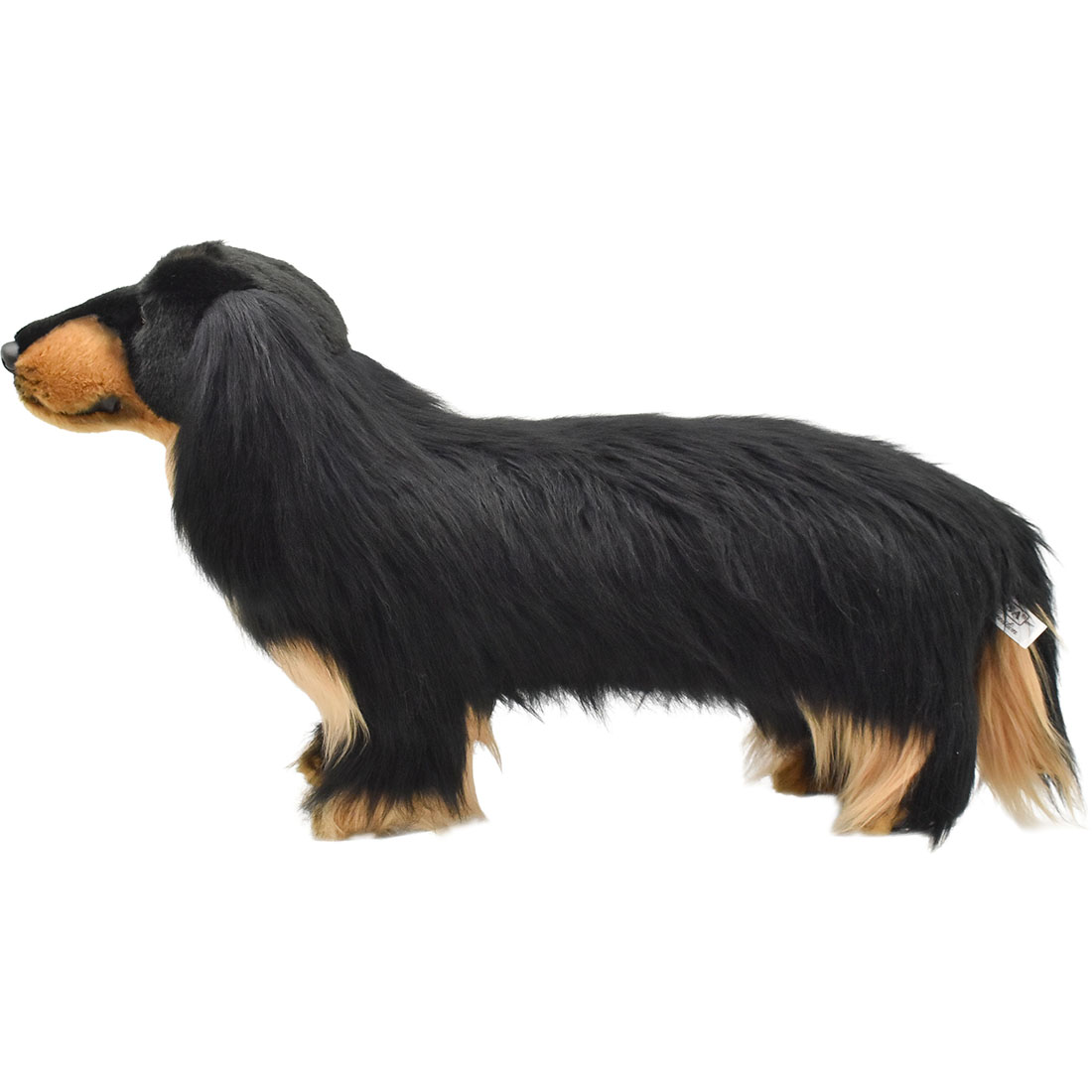 ミニチュアダックスフンド ロングヘア ブラック 62 | HANSA
