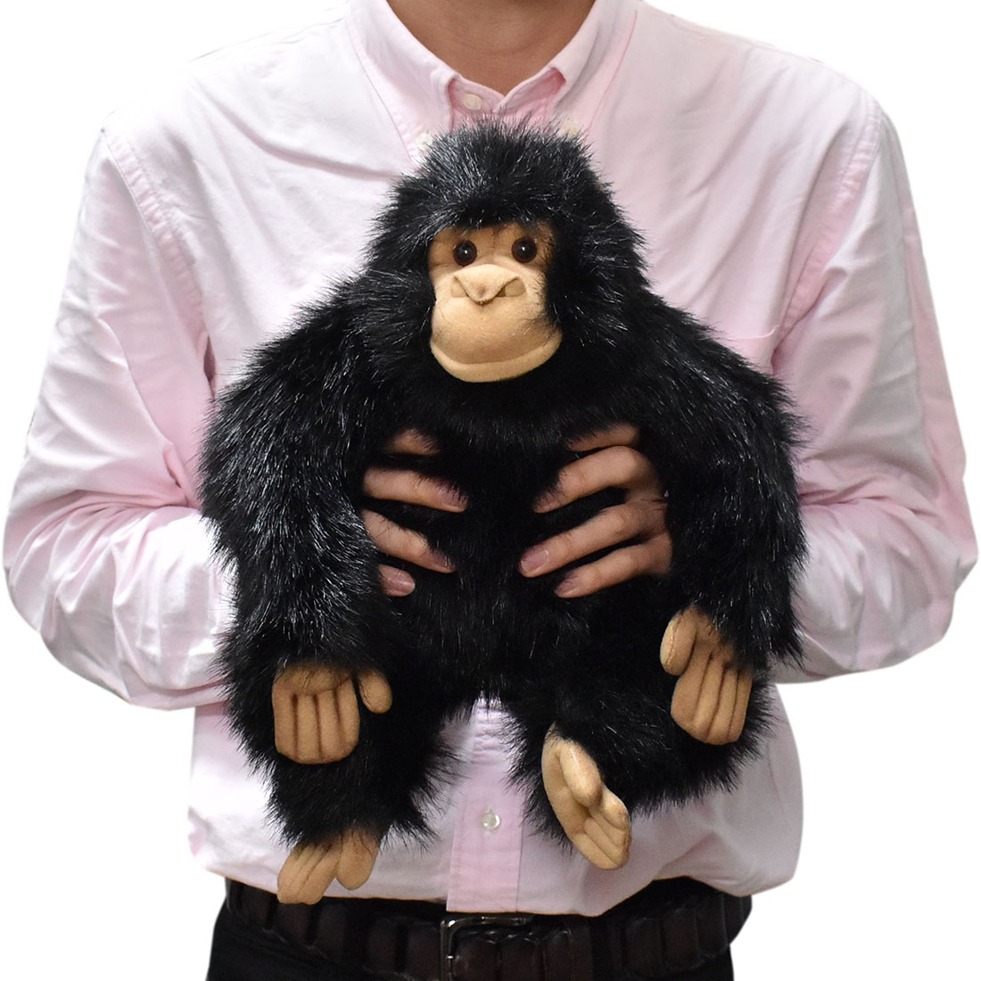 チンパンジー 27 | HANSA