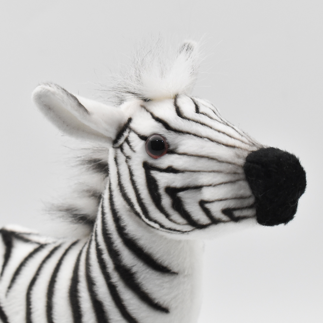 シマウマ 28 | HANSA