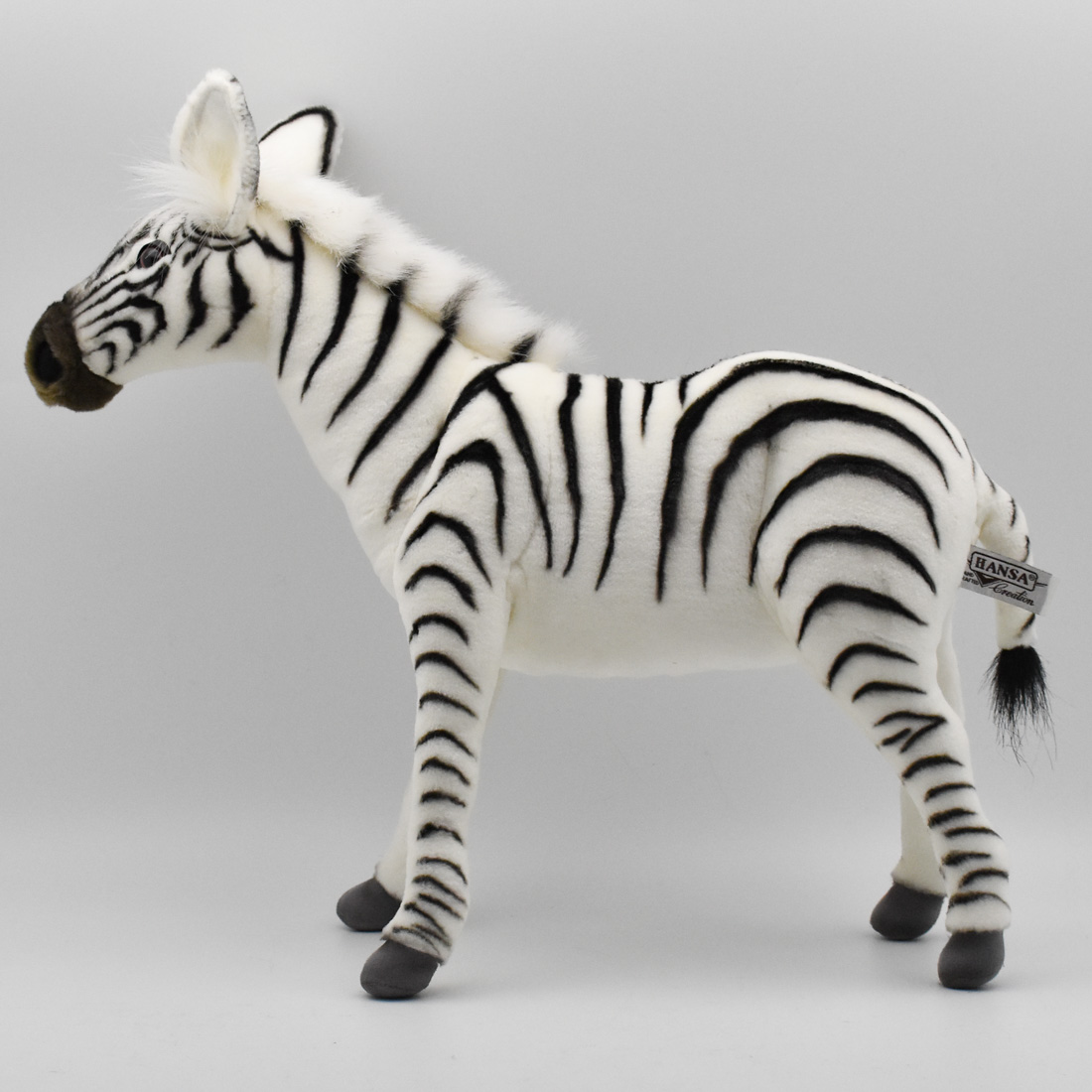 シマウマ 48 | HANSA