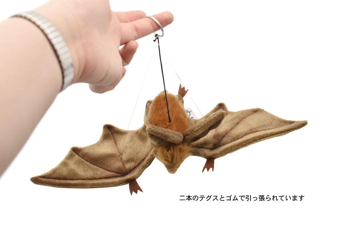 コウモリ ブラウン 37 | HANSA