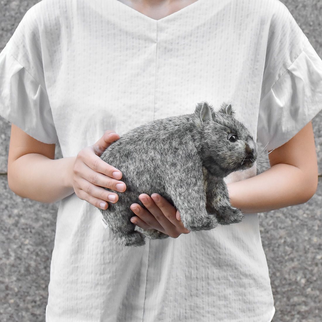 ウォンバット 28 | HANSA