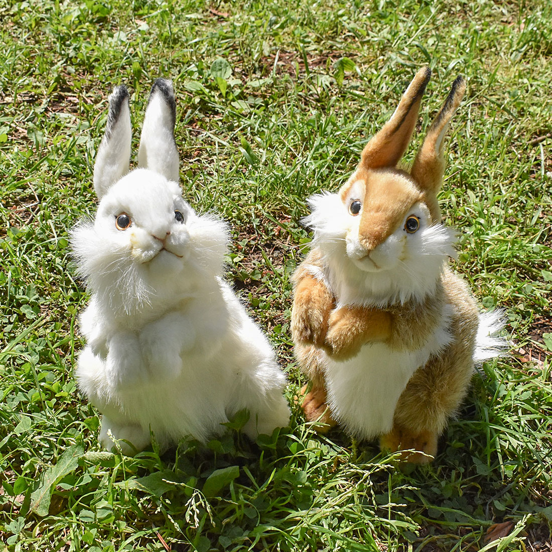 ウサギ 30 | HANSA