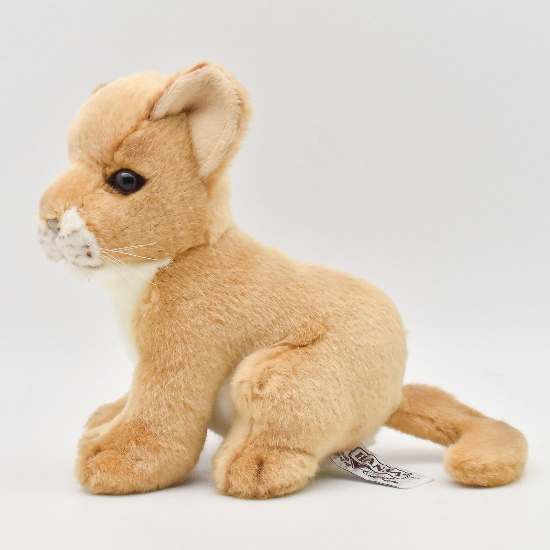 ライオン(仔) 18 | HANSA