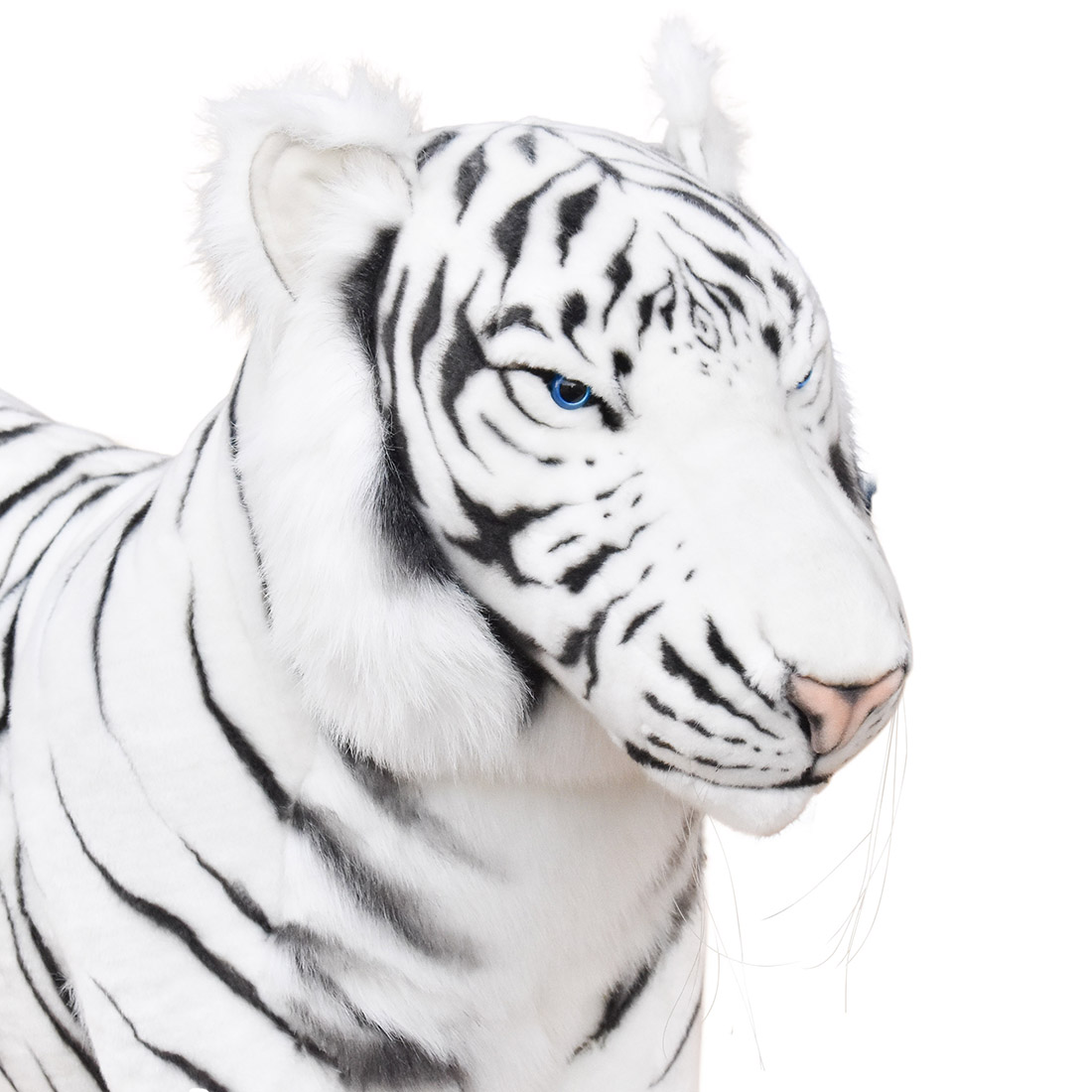 ホワイトタイガー 125 | HANSA