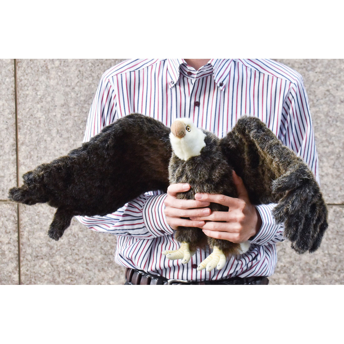 ハクトウワシ 70 | HANSA